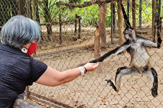 Merida : Uxmal, Chocolate Museum and Cenote with lunch and pick up - Highlights of the Uxmal Mayan Site