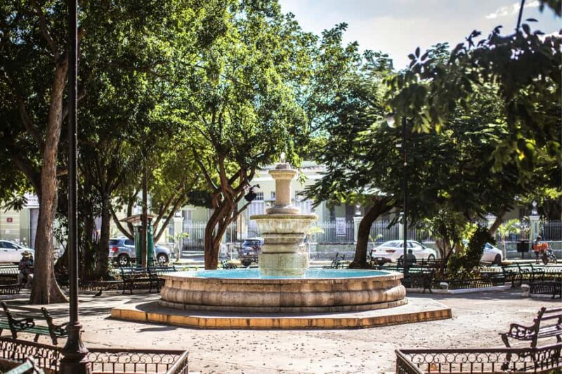 Mérida: Yucatan Flavours Food Tour with 15+ Tastings - Experience the Flavors of Mérida with an Authentic Food Tour