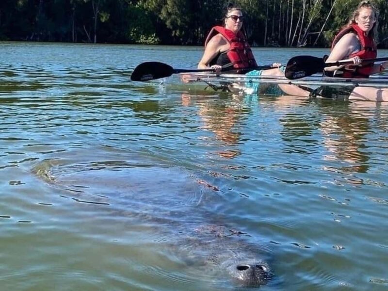 Merritt Island: Clear Kayak Wildlife Tour in National Refuge - Merritt Island: Clear Kayak Wildlife Tour - Final Thoughts