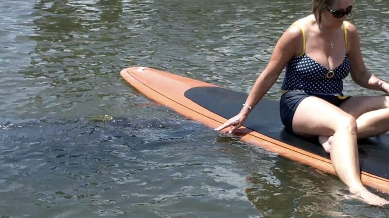Merritt Island: Manatee Watching Paddle or Kayak Tour - What Wildlife Can You Expect to See?