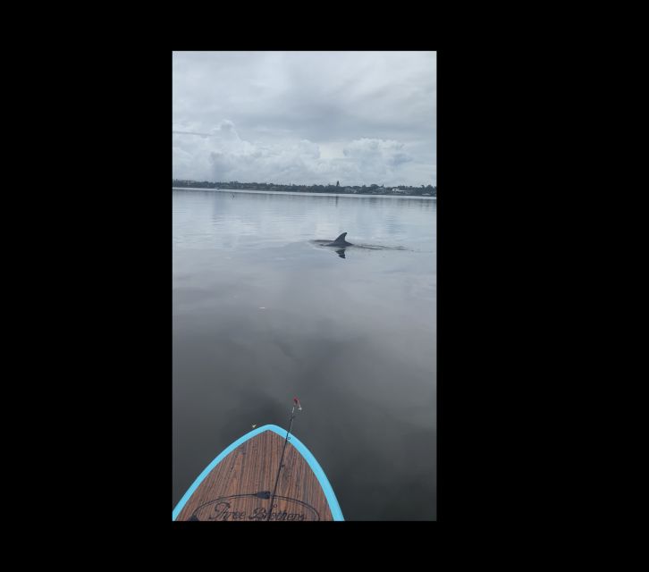 Merritt Island: Manatee Watching Paddle or Kayak Tour - Cost, Cancellation Policy, and Booking Options