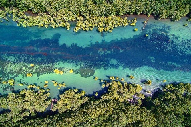 Merritts Mill Pond Eco Adventure - Key Points