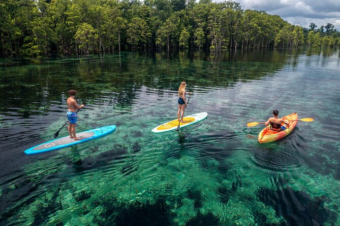 Merritts Mill Pond Eco Adventure - The Itinerary: Visiting 5-6 Springs and Caves