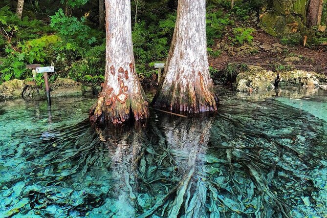 Merritts Mill Pond Eco Adventure - Connecting with Nature and Spotting Wildlife