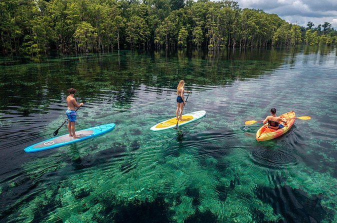 Merritts Mill Pond Eco Adventure - The Guide Experience: Fun, Knowledgeable, and Encouraging