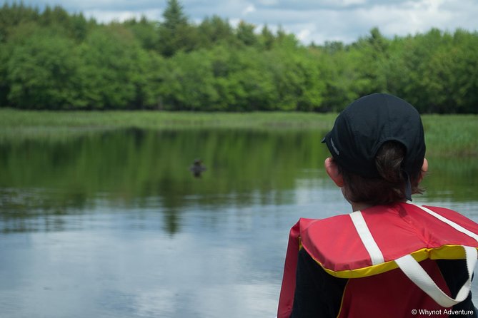 Mersey River Quickie Adventure - 2 Hours - Key Points