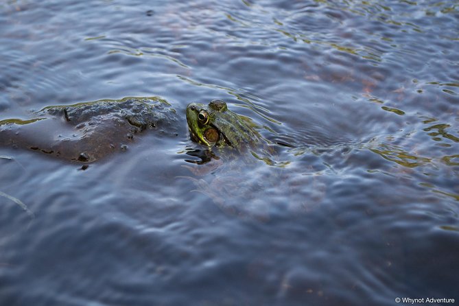 Mersey River Quickie Adventure - 2 Hours - Practical Tips: What to Bring and How to Prepare