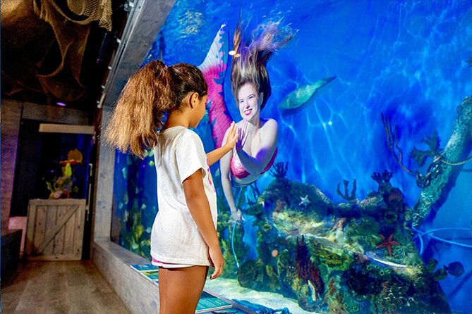 Mertailor's Mermaid Aquarium Encounter General Admission - Exploring the Tropical Rain Forest and Marine Exhibits