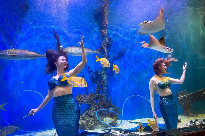 Mertailor's Mermaid Aquarium Encounter General Admission - Shopping for Mermaid Memorabilia and Souvenirs