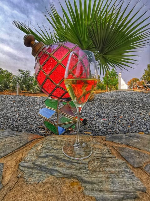 Mértola: Traditional Wine Tasting Experience - Discover Mértola’s Authentic Wine Heritage for $17