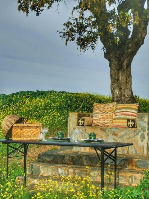 Mértola's Stunning Countryside Picnic - Key Points