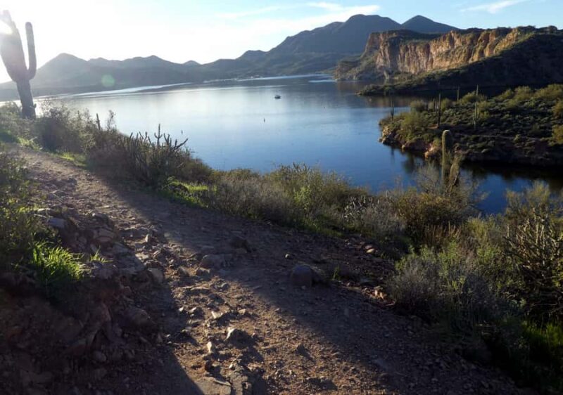 Mesa: Saguaro Lake View Hike - Logistics: Small Group, Flexible Booking