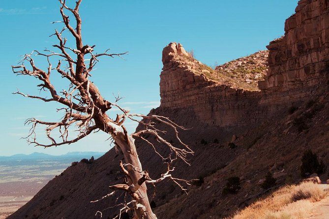 Mesa Verde Highlights Tour - Explore Mesa Verdes Top Highlights in a Convenient Half-Day Tour