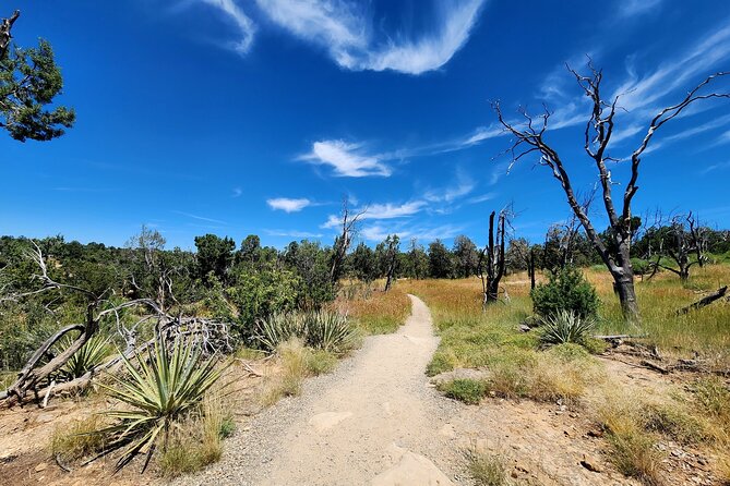 Mesa Verde National Park Self-Guided Audio Tour - Cliff Dwelling Highlights: Cliff Palace and Spruce Tree House