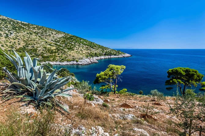 Mesmerizing Hvar speed boat tour with optional wine tasting - Final Thoughts: A Thrilling and Unique Hvar Experience
