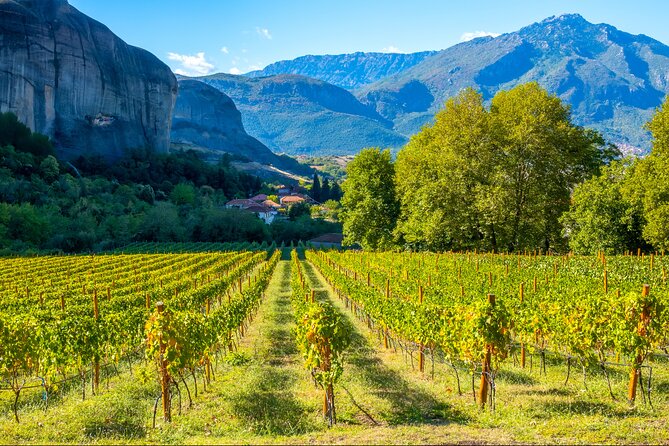 Meteora Food And Wine Private Tour - Explore Meteora’s Food and Wine Scene for $231.36 Per Person