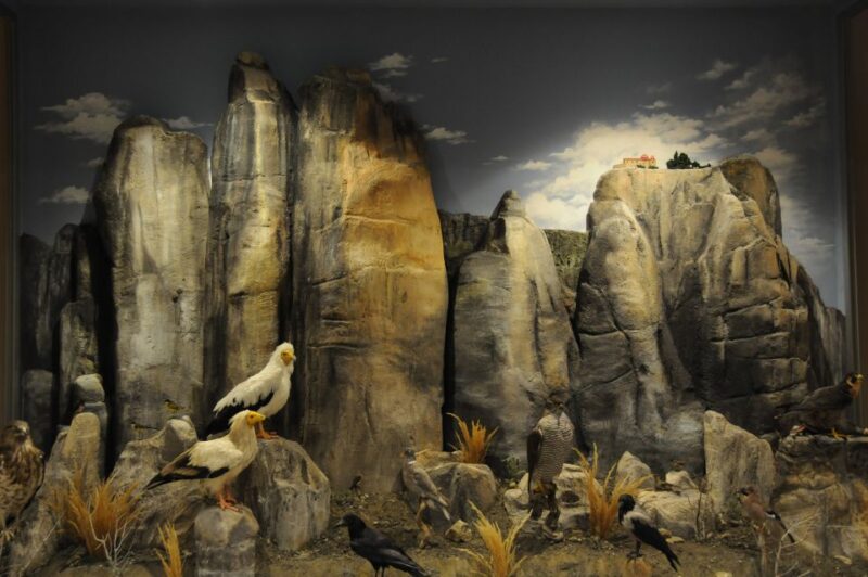 Meteora: Natural History Museum and Mushroom Museum Tour - Visiting the Museums: Practical Details and Timing