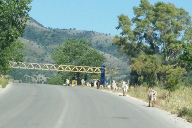 Meteora tour by coach from Corfu - Frequently Asked Questions