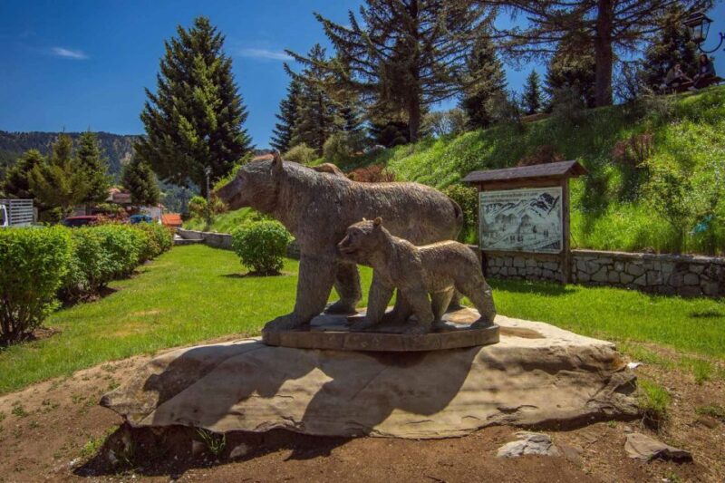 Metsovo: Food, Wine & Culture Walking tour - Discover Metsovos Unique Food, Wine, and Cultural Charm