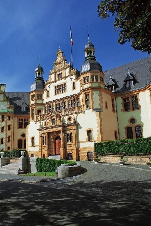 Metz Private Walking Tour - The Guide’s Expertise and Tour Quality