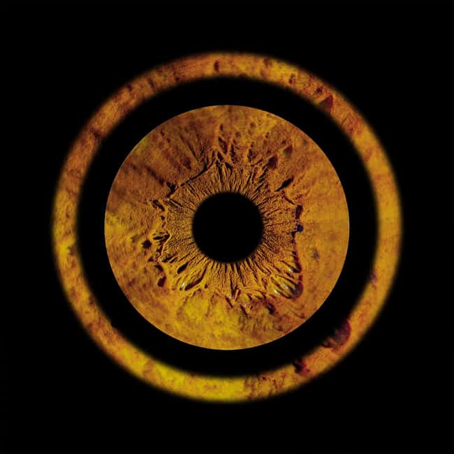 Metz: Your professional iris photography with framed print - Discover a Unique Personal Keepsake: Iris Photography in Metz