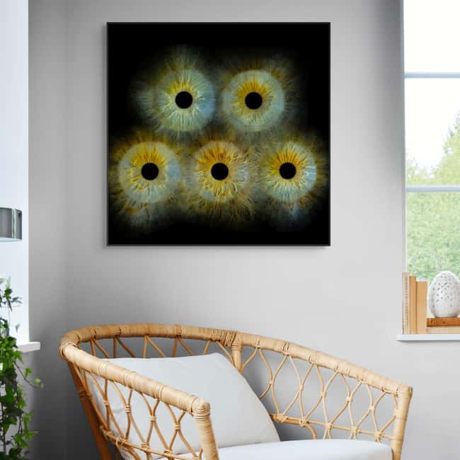 Metz: Your professional iris photography with framed print - Key Points