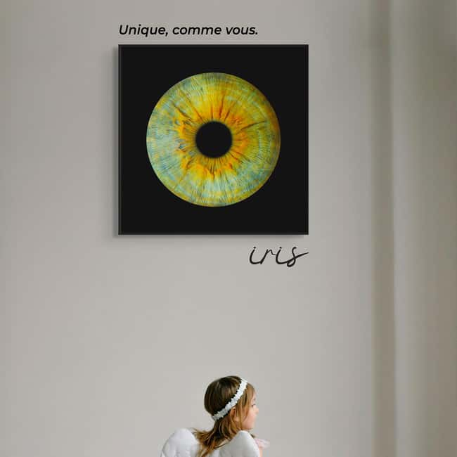 Metz: Your professional iris photography with framed print - Final Thoughts on the Iris Photography Experience in Metz