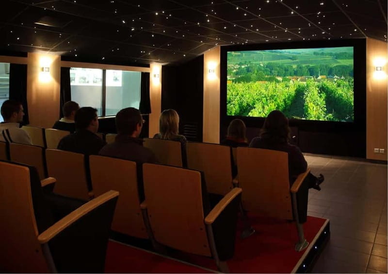 Meunier Champagne Experience tour - Passy-Grigny - The Unique Focus on Meunier Grapes