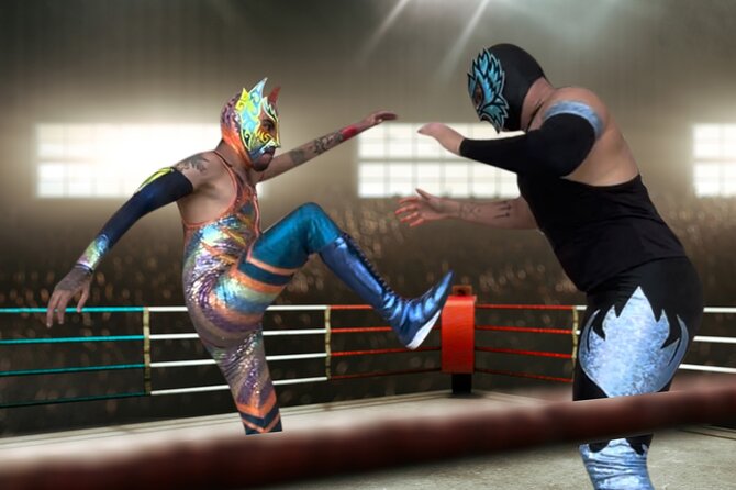 Mexican Lucha Libre Experience in Cozumel, Tacos and Margaritas - Value for Money and Overall Experience