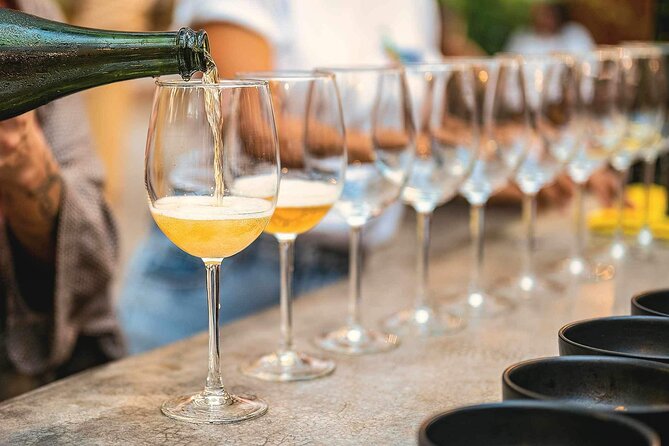 Mexican Wine Tasting & Aroma Sensory Experience - Key Points