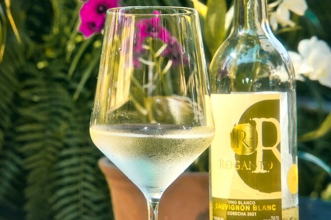 Mexican Wine Tasting & Aroma Sensory Experience - The Guided Mexican Wine Tasting Experience