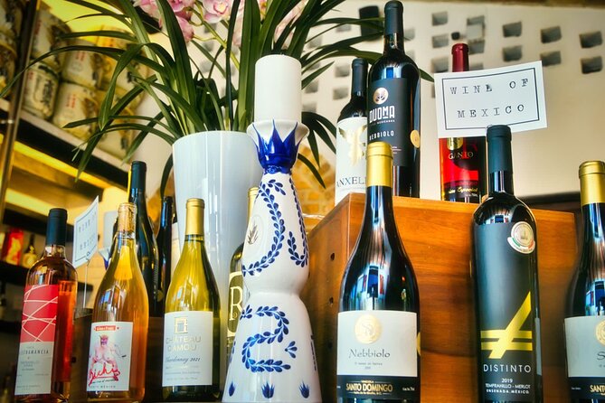 Mexican Wine Tasting Experience - Key Points