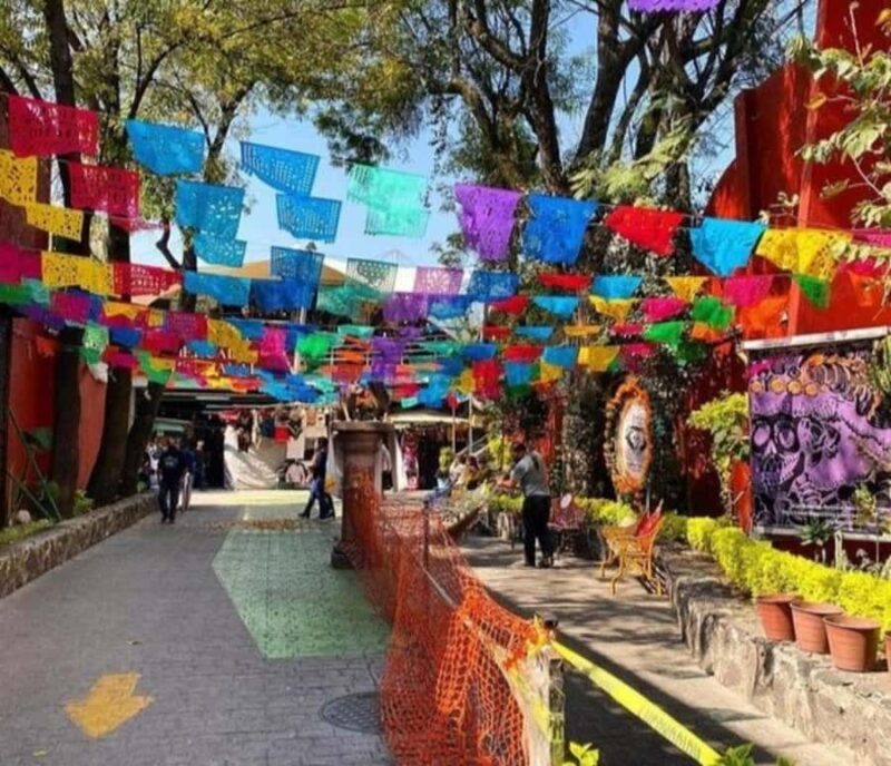 Mexico : Best Street Food Tour With A Local Guide - The Guide: Knowledgeable and Engaging