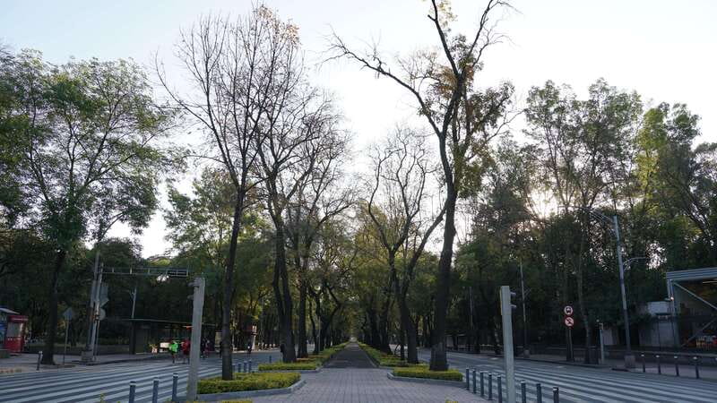 Mexico City: 19 City Highlights Bicycle Tour - Art, Independence, and Cultural Landmarks