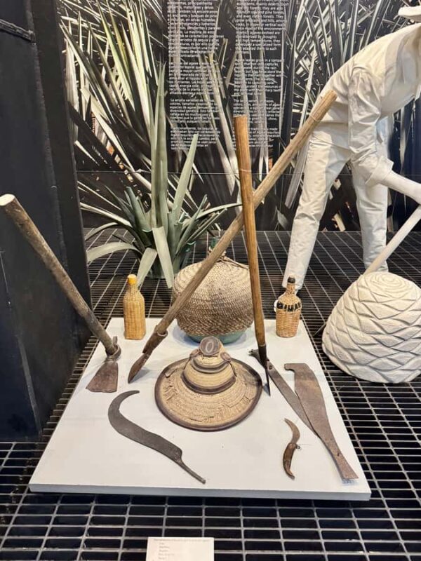 Mexico City: Agave Museums, Tastings and Mariachi Night Tour - The Buzz of Plaza Garibaldi and the Magic of Mariachi Music