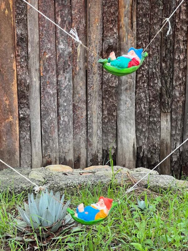 Mexico City: Basaltic Prisms, Peña del Aire, and Huasca - Practical Details on Logistics and Timing