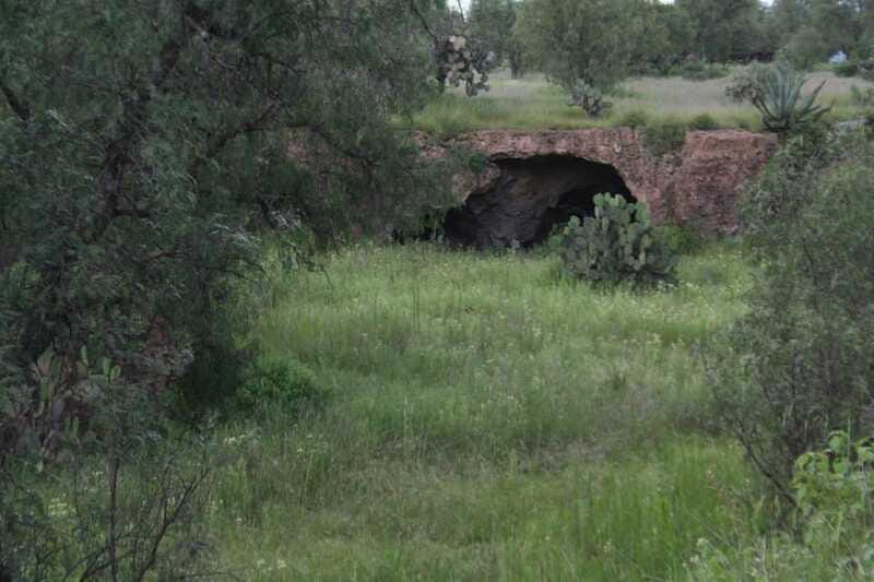 Mexico City: Basilica and Teotihuacan Pyramids Tour - Logistics: Pickups and Group Size