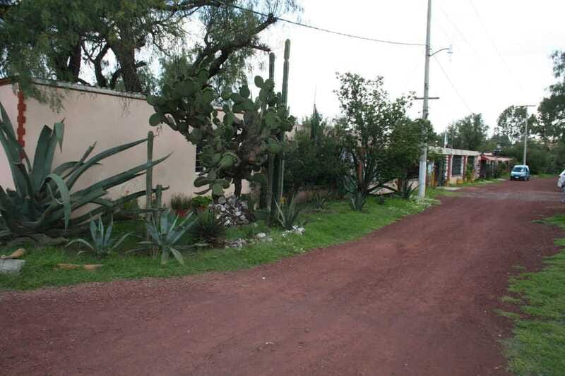 Mexico City: Basilica and Teotihuacan Pyramids Tour - The Experience of the Guides and Tour Pacing