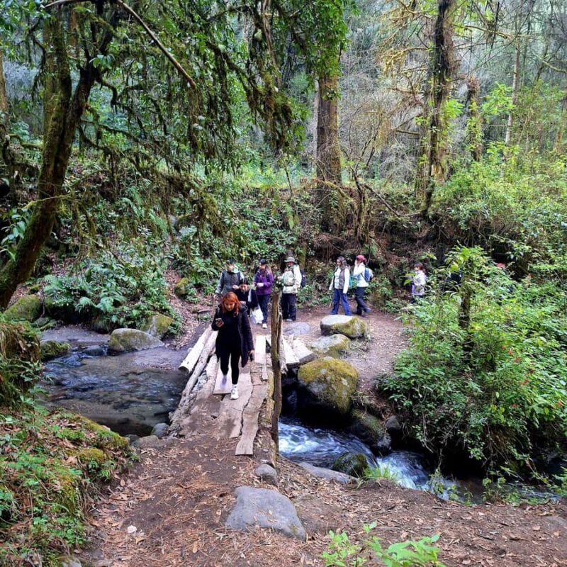 Mexico City: Bubble Waterfall Private Hike with Pickup - Explore the Bubble Waterfall on a Private Hike from Mexico City