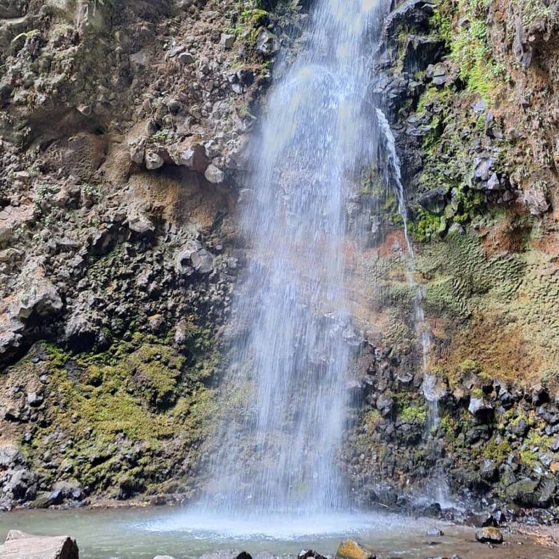 Mexico City: Bubble Waterfall Private Hike with Pickup - The Bubble Waterfall: A Natural Wonder