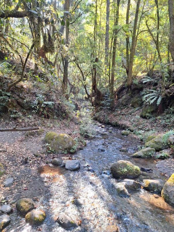 Mexico City: Cascada de Hueyapan Private Hiking Tour - Key Points