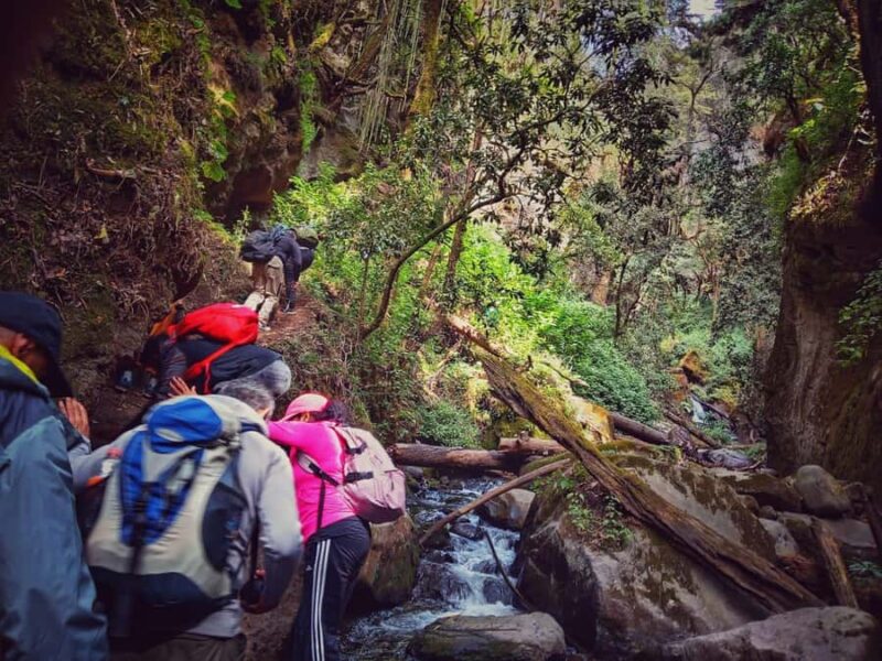 Mexico City: Cascada de Hueyapan Private Hiking Tour - The Destination: Cascada de Hueyapan and Surrounding Forests