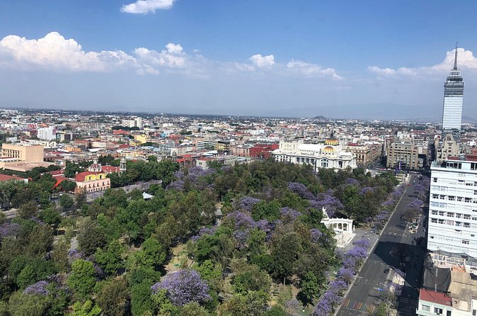 Mexico City Center Private Walking Tour - Exploring Local Shops and Authentic Mexican Cuisine
