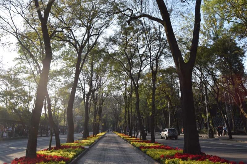 Mexico City: Chapultepec Forest - Diego Rivera's hidden gem - Key Points