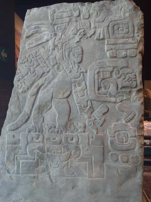 Mexico City: Chapultepec Park and Museums Walking Tour - Convenient Logistics with Hotel Pickup and Drop-off