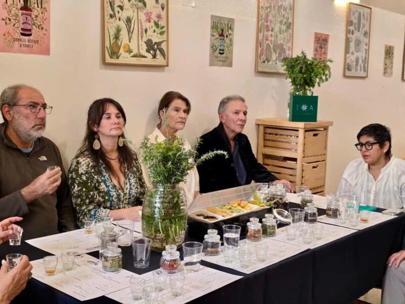 Mexico City: Cocktails Tasting, Lucha Libre & Tacos - Distillery Tour in Mexico City’s Historic Center