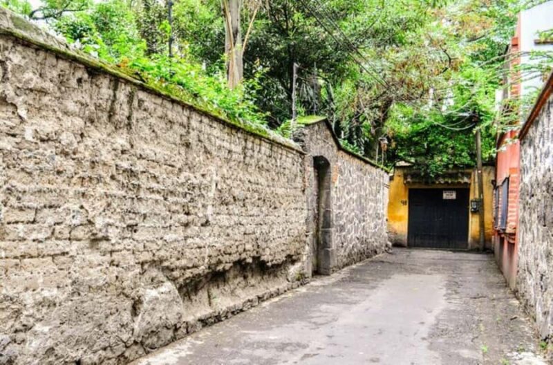 Mexico City: Coyoacán Bohemian History and Architecture Tour - Pacing and Group Size