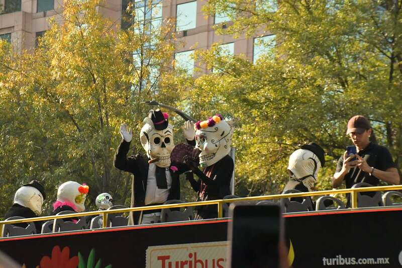 Mexico City: Day of the Dead Guided Tour - Practical Details and Logistics