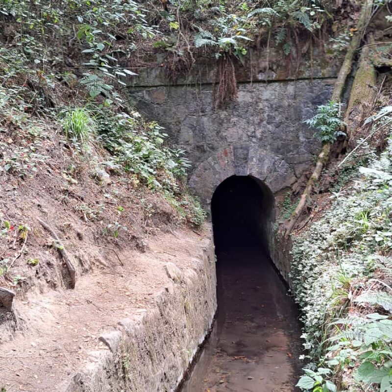 Mexico City: Diamond Waterfall Private Hiking Tour - Responsible Exploration and Safety Measures