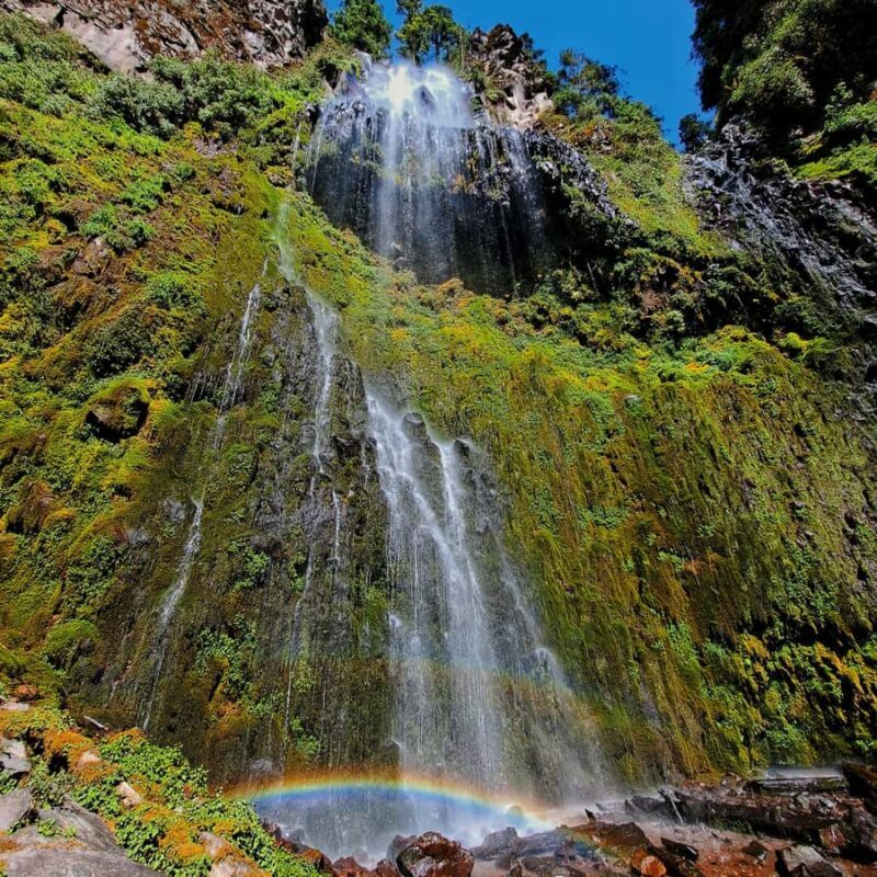 Mexico City: Diamond Waterfall Private Hiking Tour - Accessibility and Physical Requirements